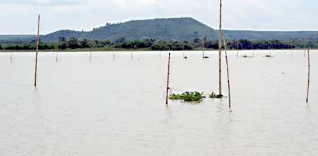 Cắm đăng, bửng ven hồ sẽ làm những ngư dân đánh bắt cá trên hồ Trị An không thể vào bờ nhanh khi thời tiết nguy hiểm.