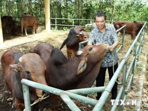 Animal feed output estimated to grow 10 percent