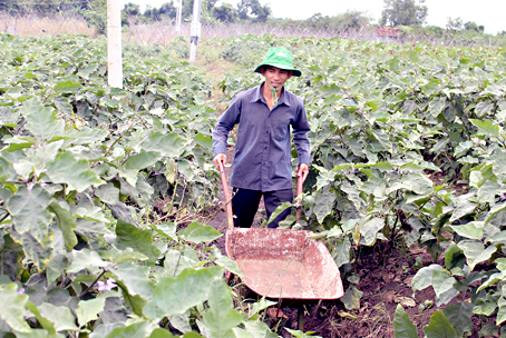 Dong Nai boosts sustainable poverty reduction