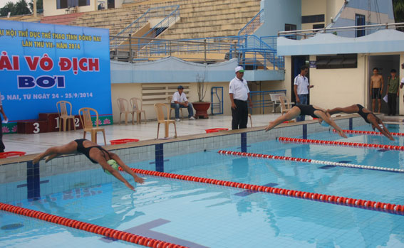 Các vận động viên xuất phát môn bơi.