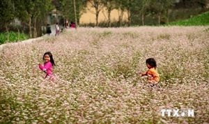 Vietnam cited as world's second cheapest holiday destination