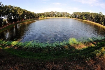 Ba Om Pond