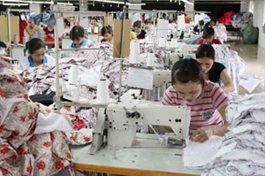 Dong Nai updates reproductive health information for female workers