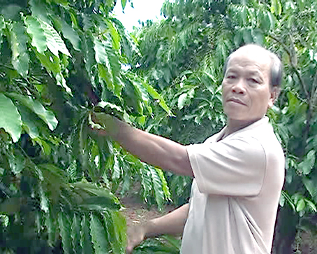 Farmers save water to increase yield
