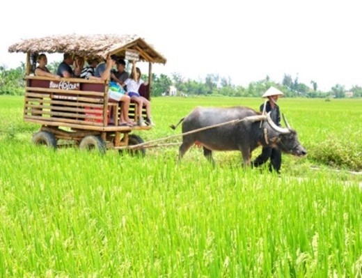 Three Vietnamese tours attract foreign visitors