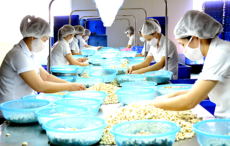 Dong Nai enjoys $300 mln trade surplus in 10 months
