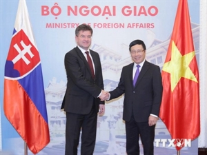 Deputy Prime Minister and Foreign Minister Pham Binh Minh welcomes his Slovakian counterpart Miroslav Lajcak.