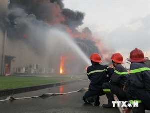 Fires cause great losses to eight provinces, cities: conference