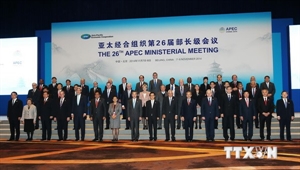 Vietnam vows continued support for APEC to strengthen regional links