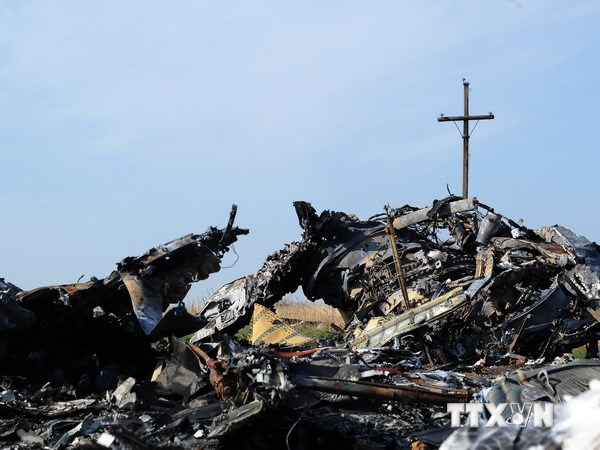 Những mảnh vỡ của máy bay MH17 gần làng Rassipnoe, miền đông Ukraine ngày 15/10. (Nguồn: AFP/TTXVN)