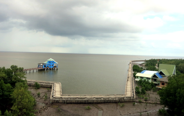 Beauty of the Mekong Delta region during flood season