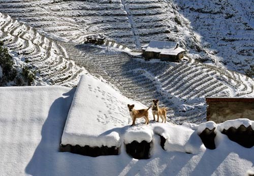Unique photos on Vietnam's landscapes