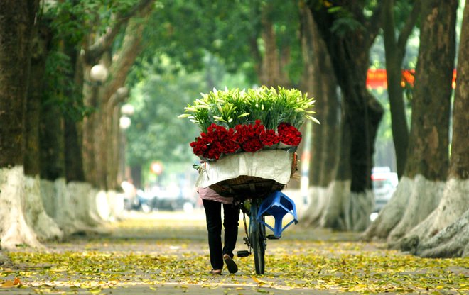 The most beautiful road in Hanoi