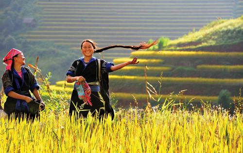 Marvellous photos that you mustn't miss