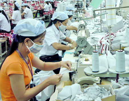 Dovitec earns over VND653 bln in turnover