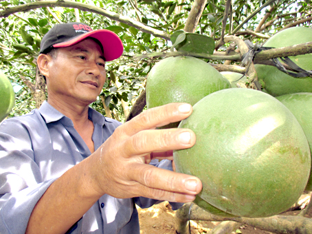 Đổi thay từ nông thôn mới