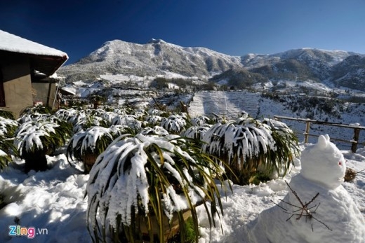 Early snowfall in Sapa