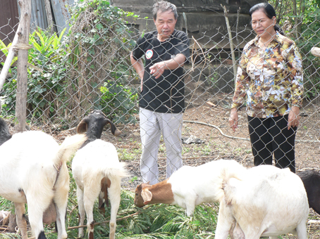 Bà Nguyễn Thị Bích Thu đến thăm một gia đình trong ấp được vay vốn để chăn nuôi dê.  Ảnh: S. THAO