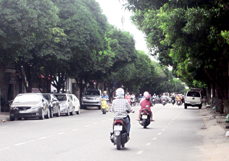 Cây xanh tỏa bóng mát trên đường Phan Trung (phường Tân Mai). Ảnh: K.THIẾT