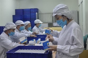 Measles vaccine doses are packaged at a Vietnamese factory.