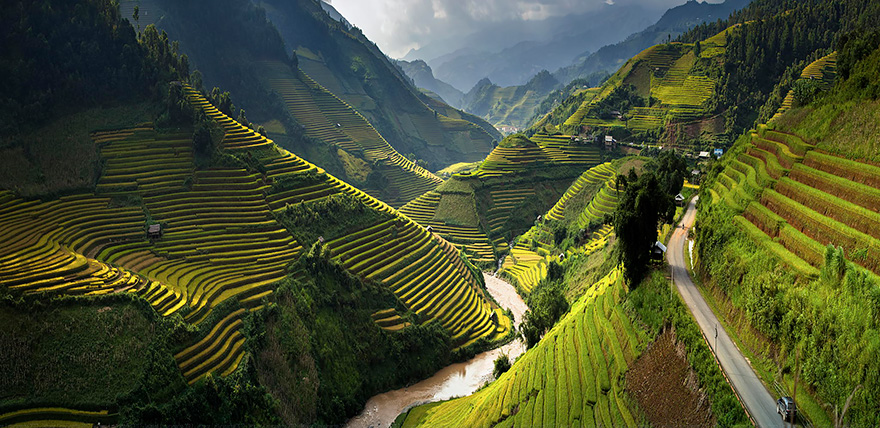 Rice fields over the world