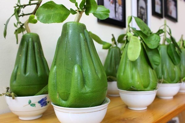 Vietnam's most special trees and fruits in 2014