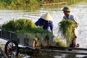 Dong Nai is among localities nationwide leading the national programme on building new style rural areas. 