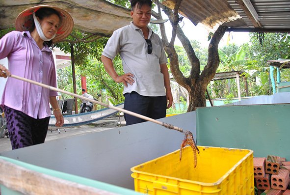 A breeder shows centipedes to a customer 