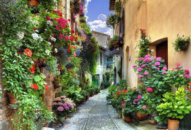 Drifted on the most beautiful street in the world