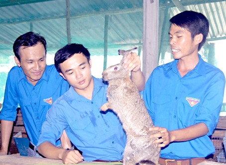 Anh Trần Minh Trung (phải) chia sẻ kinh nghiệm chăm sóc thỏ với đoàn viên thanh niên trong xã.