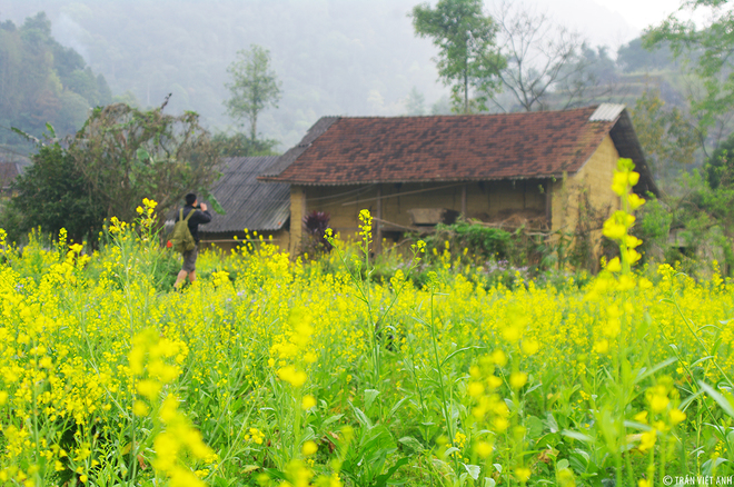 Spring pictures of Ha Giang