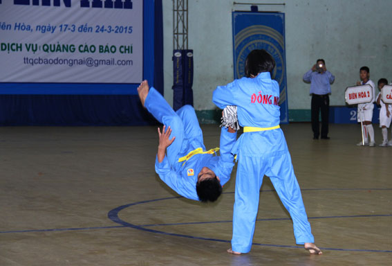 Biểu diễn võ Vovinam