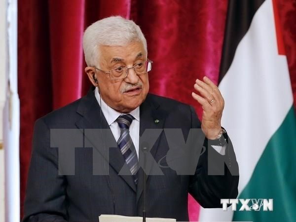 Tổng thống Palestine M. Abbas. (Nguồn: AFP/TTXVN)