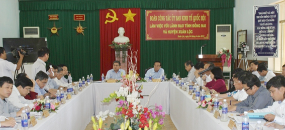 NA Economic Committee delegation works in Dong Nai
