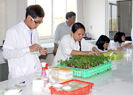 Dồn sức thi đua xây dựng nông thôn mới