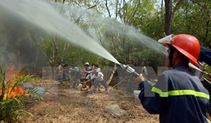 Forest firefighting exercise