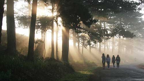 Dawn on Da Lat's outskirts