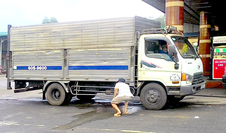 Xe chở heo gây ô nhiễm môi trường