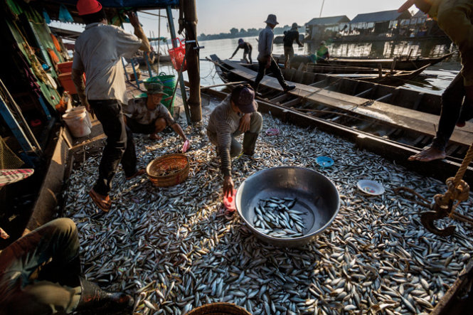 National Geographic describes life on Mekong River