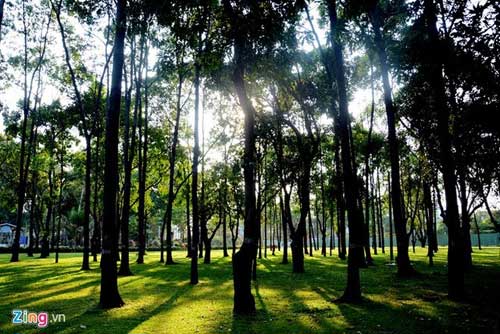 The "green forests" in the heart of Saigon