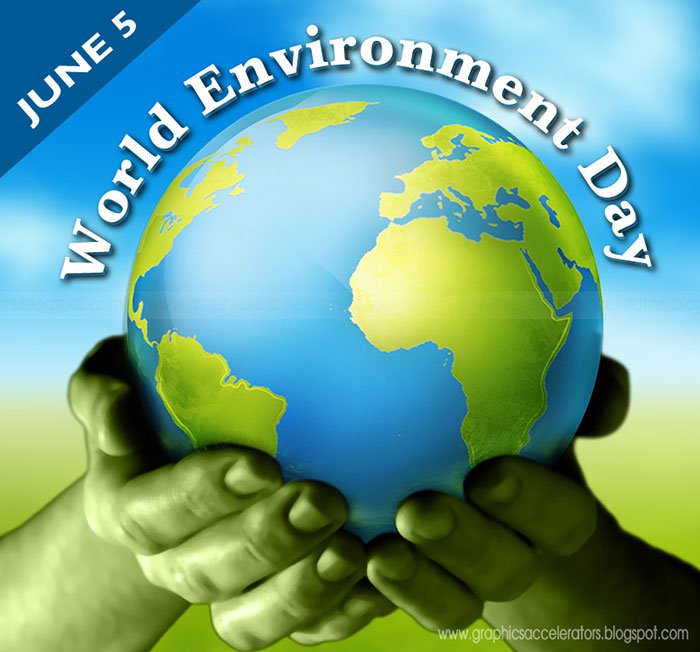 Activities respond to World Environment Day