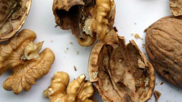 Nuts 'protect against early death'