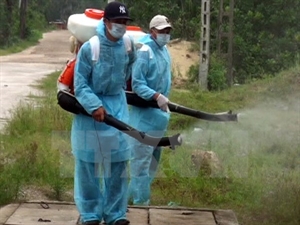 Spraying chemicals to prevent dengue fever. 