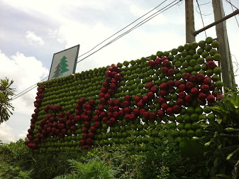 Grapefruit village a good getaway at weekend