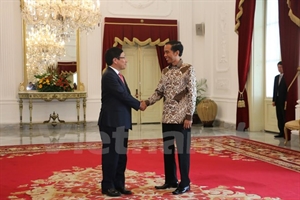 Deputy PM Pham Binh Minh meets Indonesian President