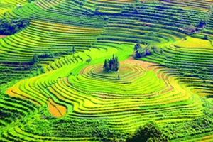 Muong Khuong, Bat Xat - new destinations in Lao Cai province