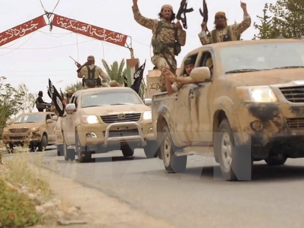 Hàng chục phần tử IS bị tiêu diệt trong các vụ không kích Syria