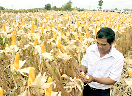 Ngân hàng vẫn thừa vốn