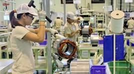 Dong Nai leads Southeast region in FDI attraction