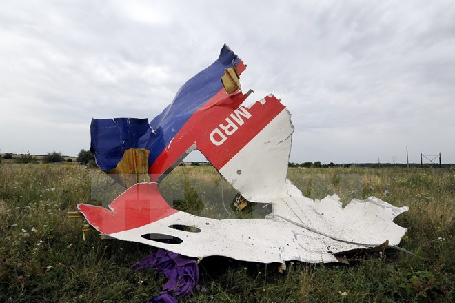 Xác máy bay MH17 tại Shaktarsk, miền đông Ukraine ngày 18/7/2014. (Nguồn: AFP/TTXVN)